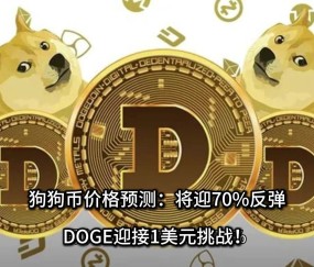 Kaiyun网页版平台-狗狗币紧急遇到安全漏洞，亏损多达24.38万美元