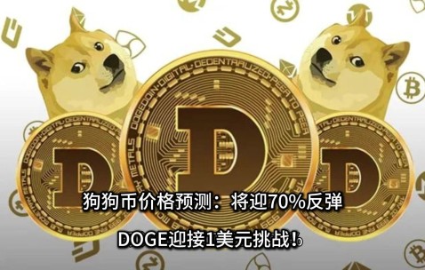 Kaiyun网页版平台-狗狗币紧急遇到安全漏洞，亏损多达24.38万美元