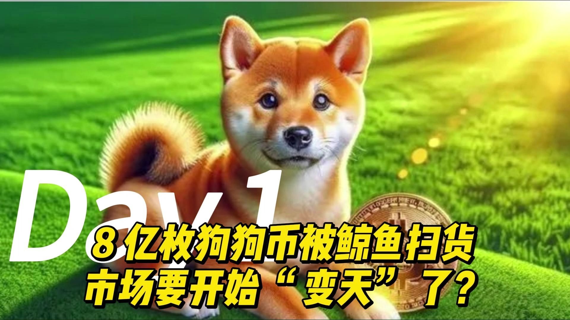 狗狗币投资骗局被揭发，已有超10.81人被骗！
