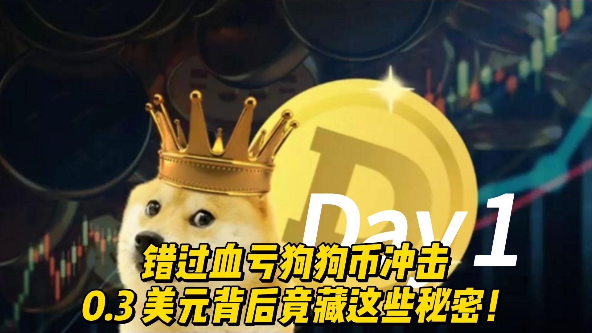 包含狗狗币紧急遇到安全漏洞，亏损多达4.1万美元的词条